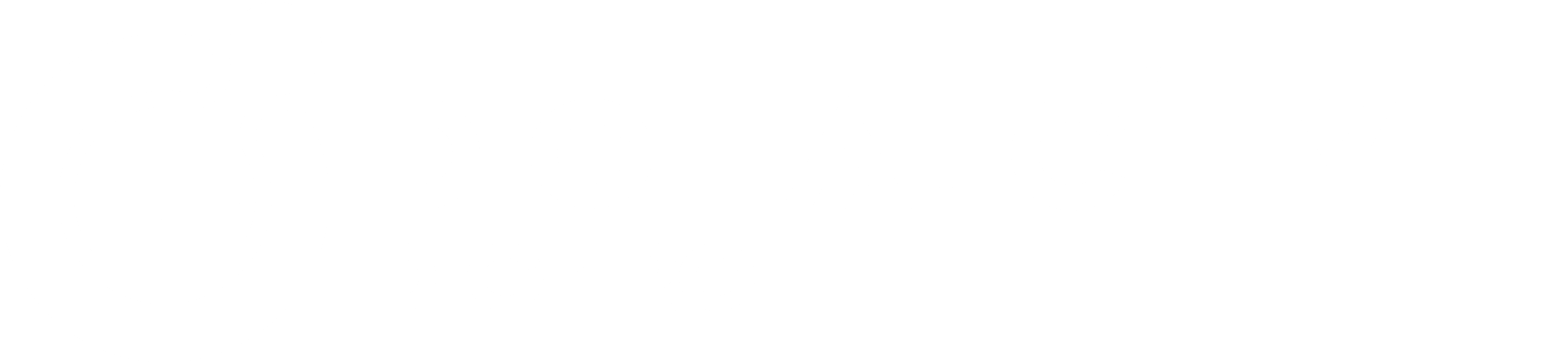 Digital City