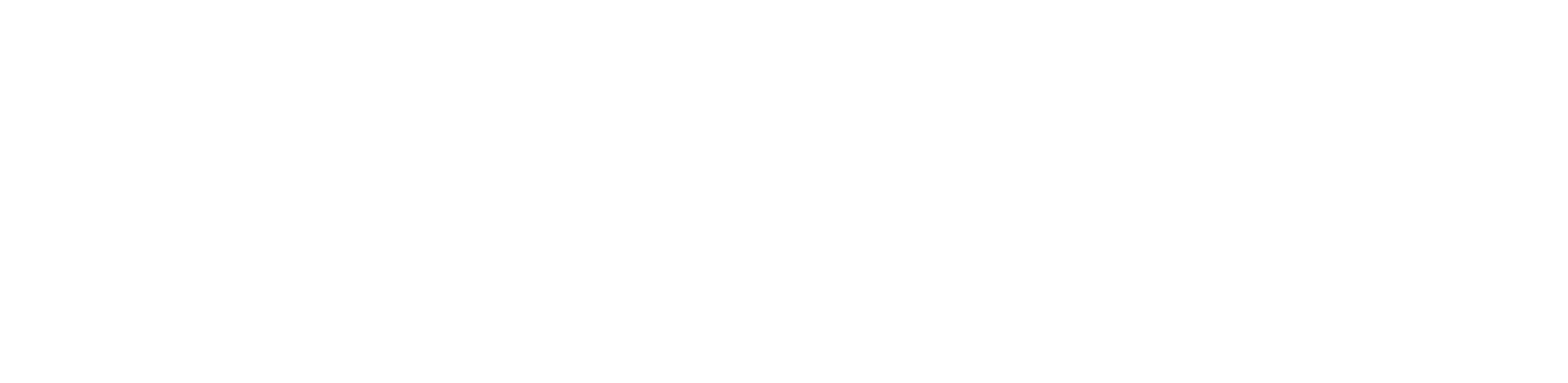 DigitalCity
